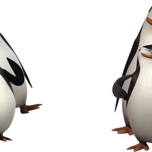 Madagascar penguins PNG