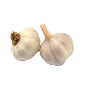 Garlic PNG