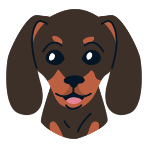 Dachshund PNG