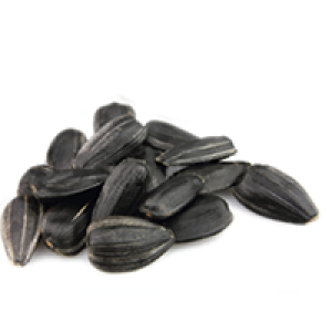 Sunflower seeds PNG