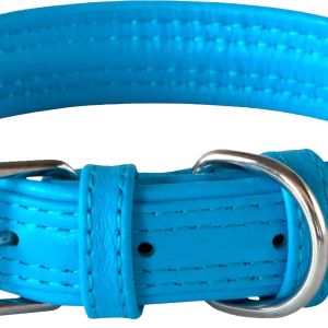 Dog collar PNG