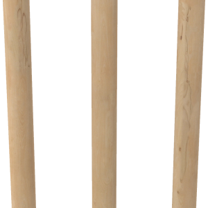 Cricket PNG