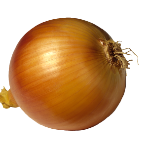 Onion PNG