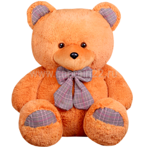 Teddy bear PNG
