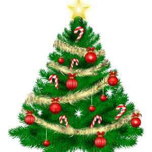 Christmas tree PNG