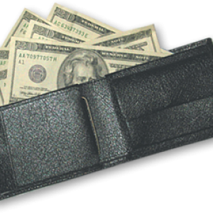 Wallet with money PNG image