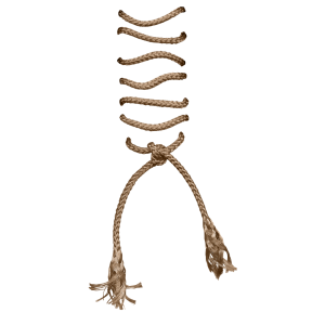 Shoelaces PNG