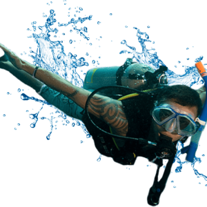 Diver PNG