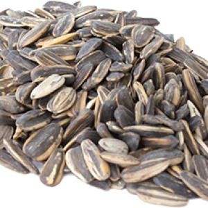 Sunflower seeds PNG