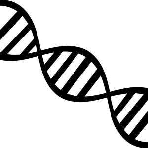 DNA PNG
