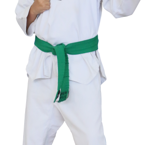 Karate PNG