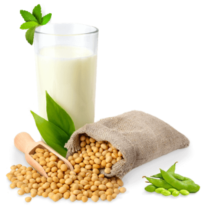 Soybean PNG