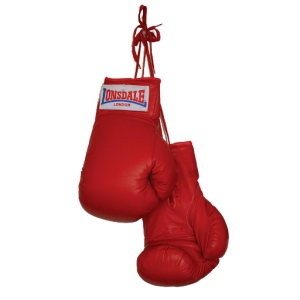 boxing gloves PNG