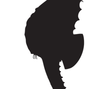 Seahorse PNG