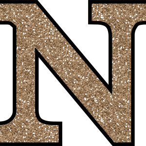 Letter N PNG