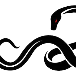 Tattoo snake PNG image