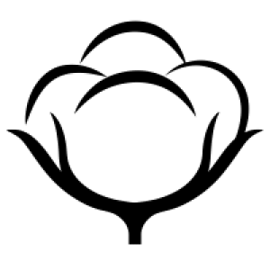 Cotton PNG