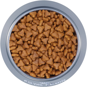 Dog food PNG