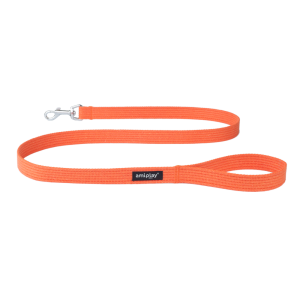 Leash PNG