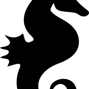 Seahorse PNG