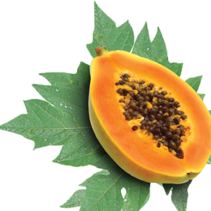 Papaya PNG