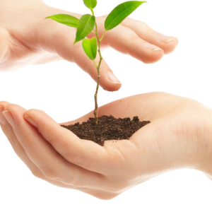 Soil in hands PNG