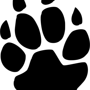 Paw PNG