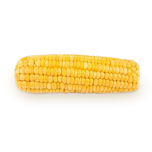 Corn PNG image