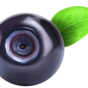 Blueberries PNG