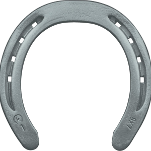 Horseshoe PNG