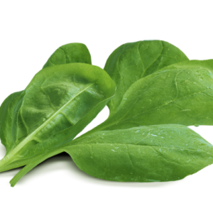 Spinach PNG