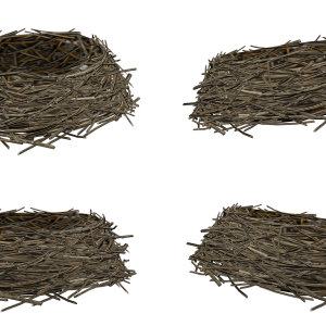 Nest PNG