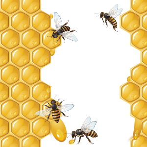 Honey PNG
