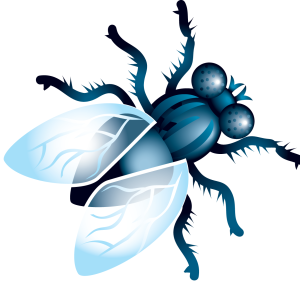 fly PNG image