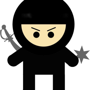 Ninja PNG