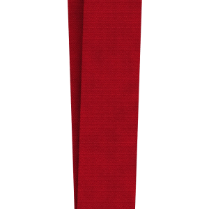 Gold medal PNG