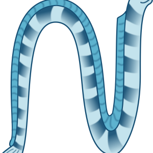 Letter N PNG
