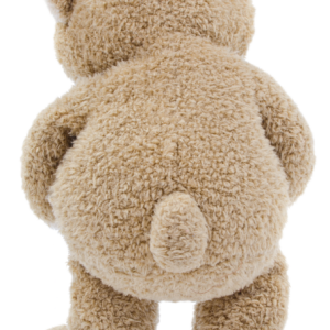 Teddy bear PNG