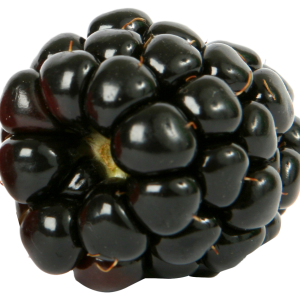 Blackberry PNG
