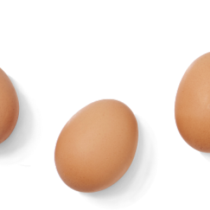 Eggs PNG
