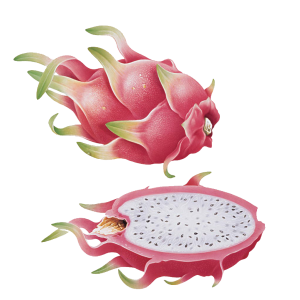 pitaya PNG