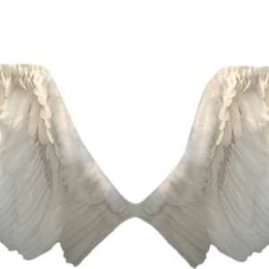 Wings PNG