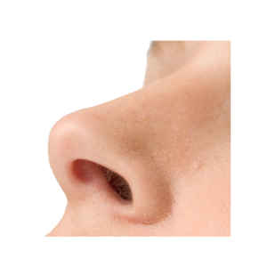 Human nose PNG