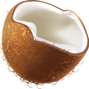 Coconut PNG image