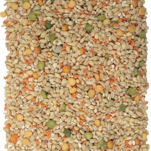 Wheat PNG