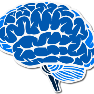 Brain PNG