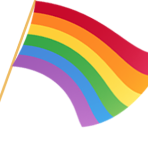 LGBT flag PNG