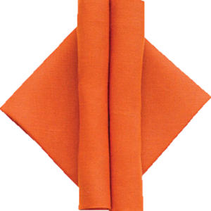 Napkin PNG