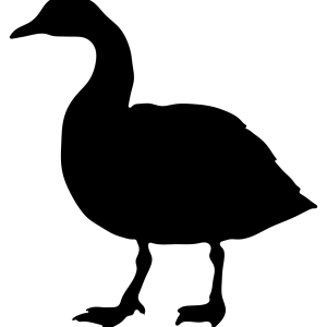Goose PNG