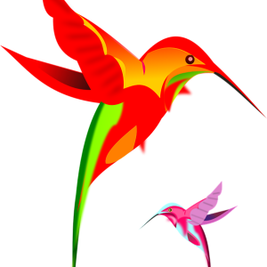 Hummingbird PNG